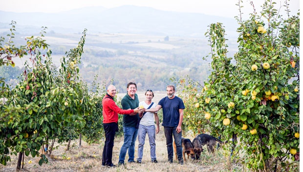 Удружени продају воће, а у припреми је и добра капљица Моравских воћара: Хоће да отворе дестилерију и освоје тржиште